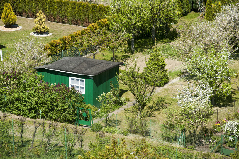 Likwidacja tysięcy ogródków działkowych? Działkowcy biją na alarm