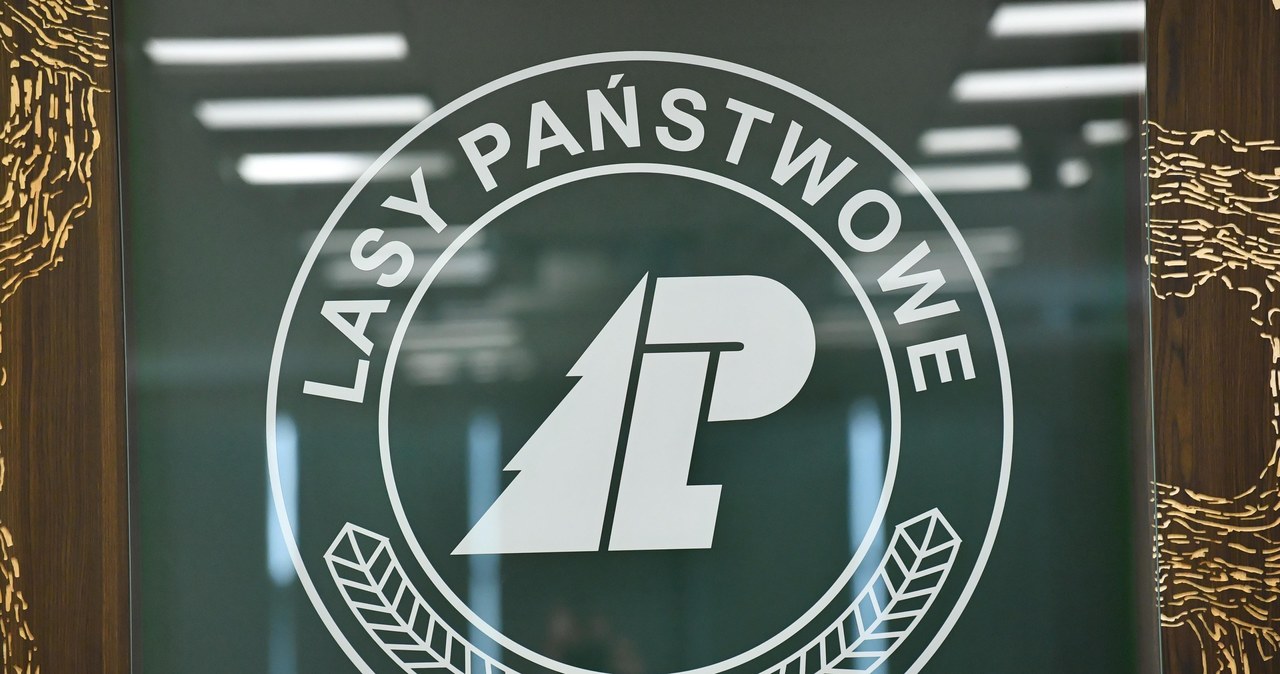 Zmiany w Lasach Państwowych. Witold Kos będzie nowym dyrektorem