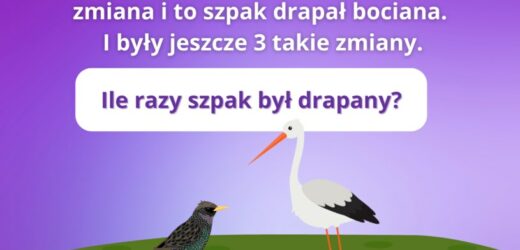 Test IQ: Ile razy szpak był drapany? Bardzo podchwytliwa zagadka