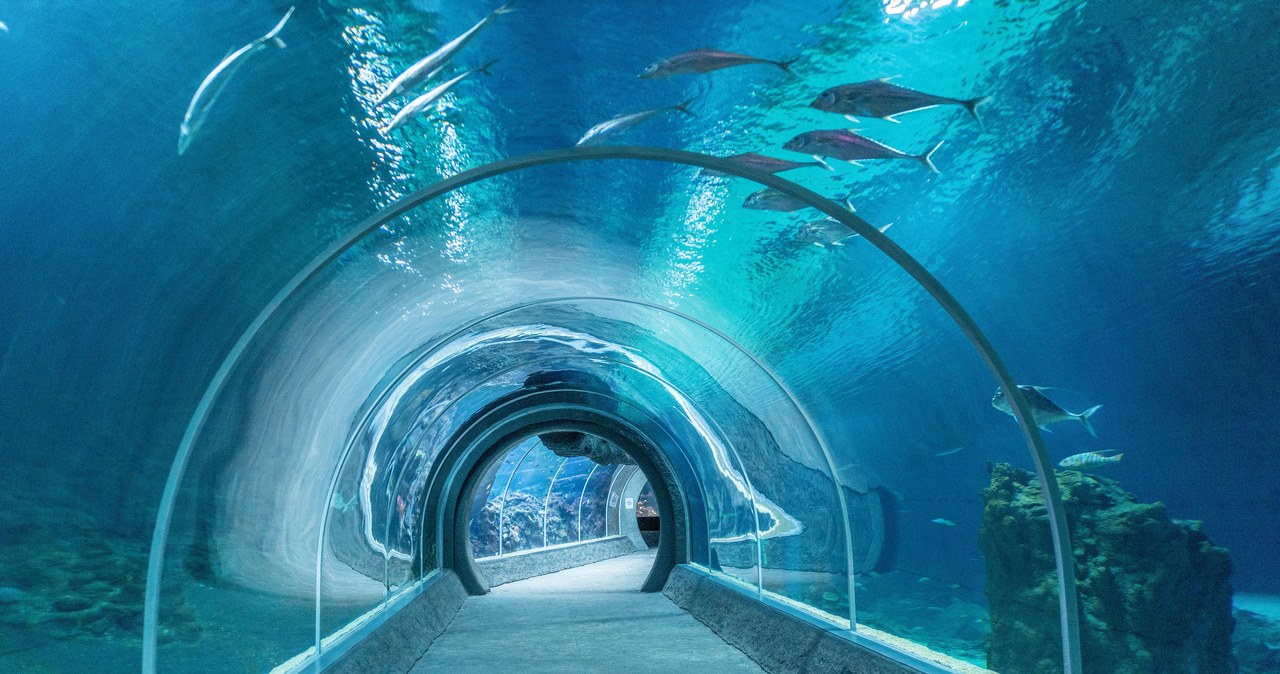 ​Ścieżka wody w łódzkim zoo