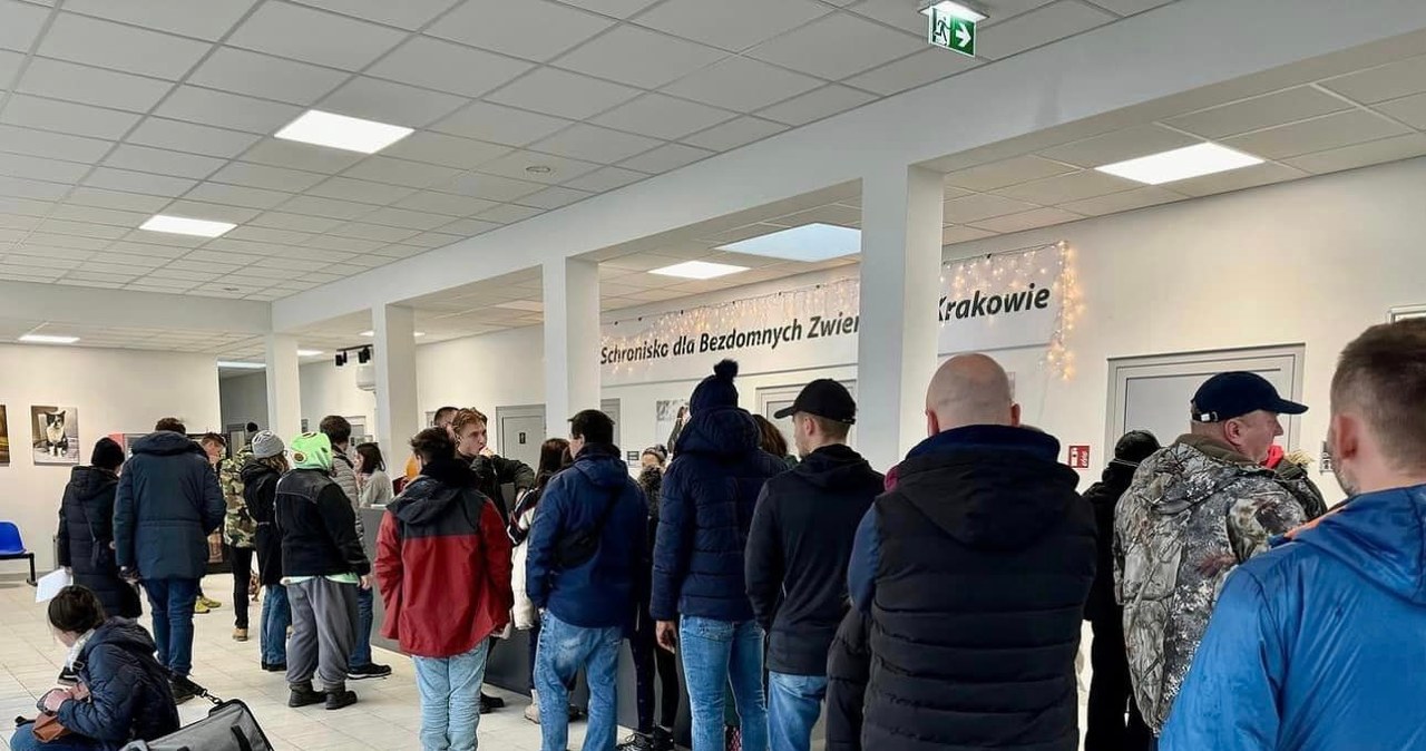 Tłumy w kolejce do schroniska dla bezdomnych zwierząt. To cud!