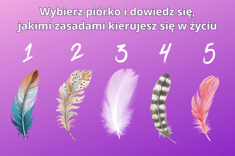 Test na styl życia. Wybierz piórko i dowiedz się, jakimi zasadami kierujesz się w życiu