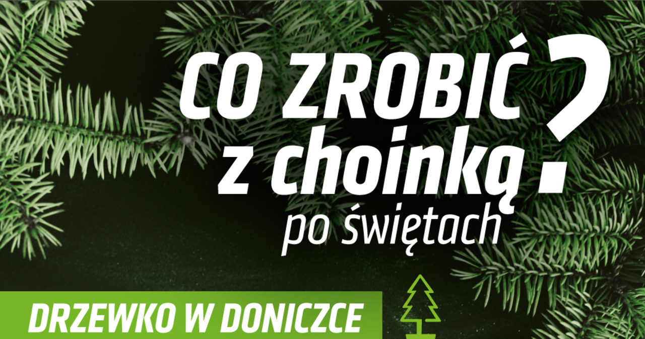 Lublin. Poświąteczna zbiórka drzewek w doniczkach