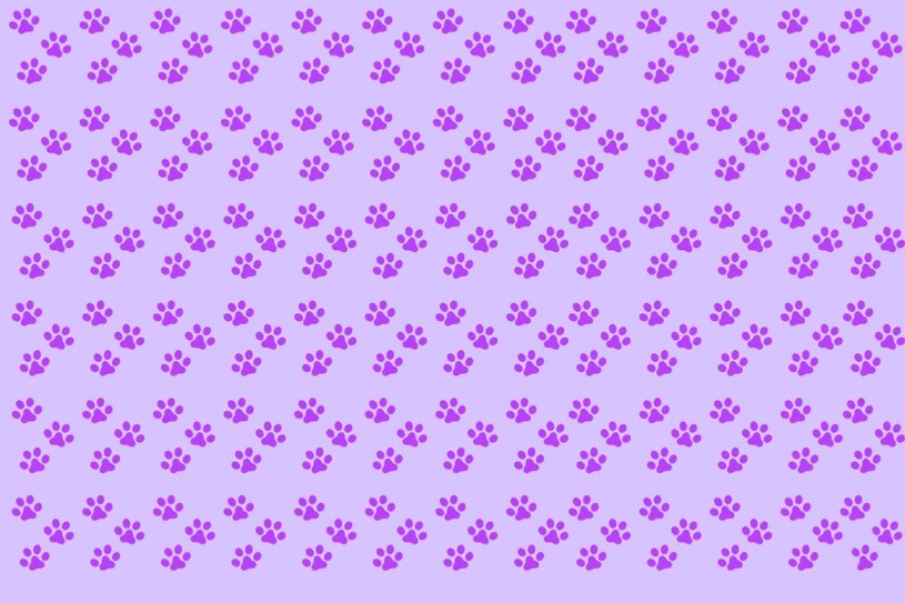 Jeden ślad nie pasuje do pozostałych. Tylko bystre oko to wypatrzy