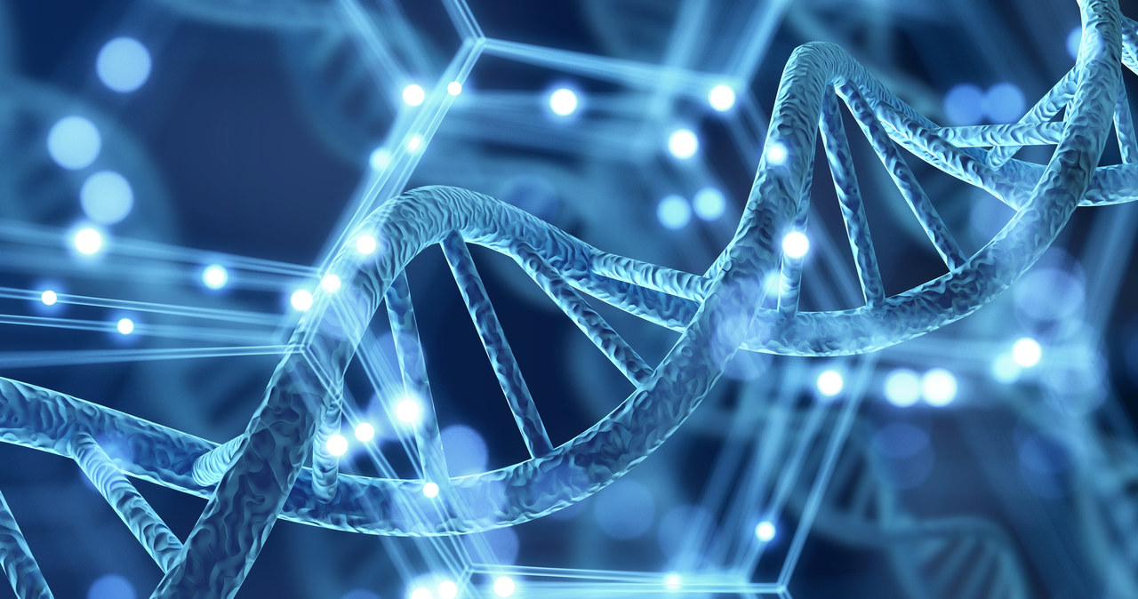 Tajemnice roślin i zwierząt. Noc Biologów już w piątek