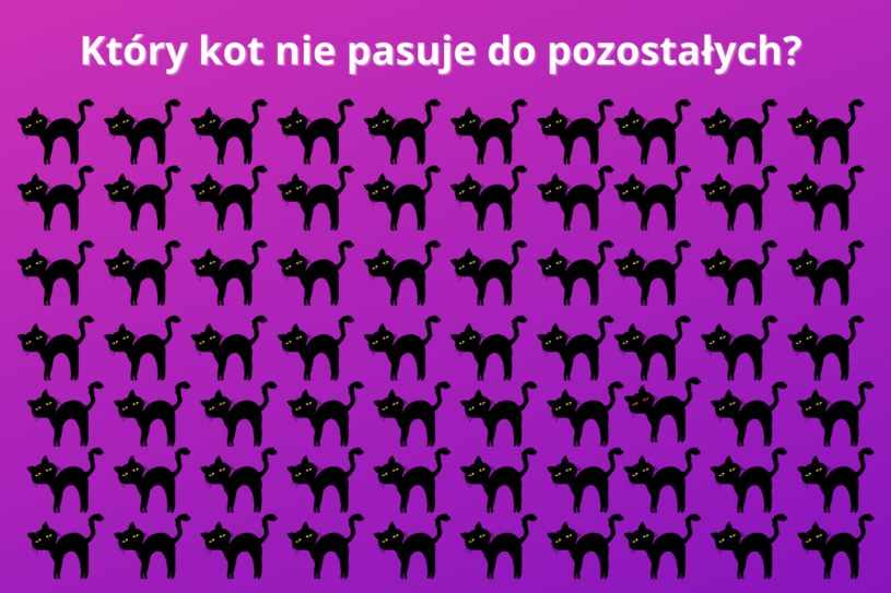 Test na spostrzegawczość: Tylko sokole oko dostrzeże tę drobną różnicę