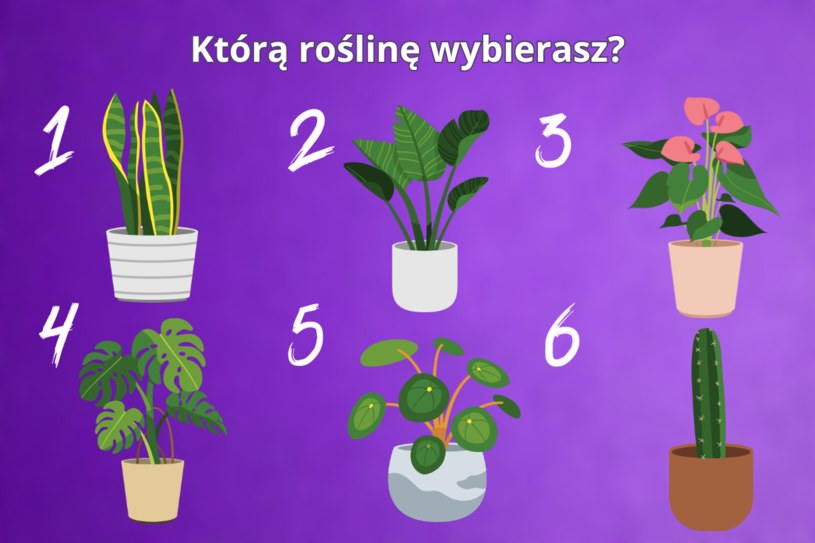Psychotest: Wybierz roślinę i dowiedz się, jaka jest twoja największa zaleta