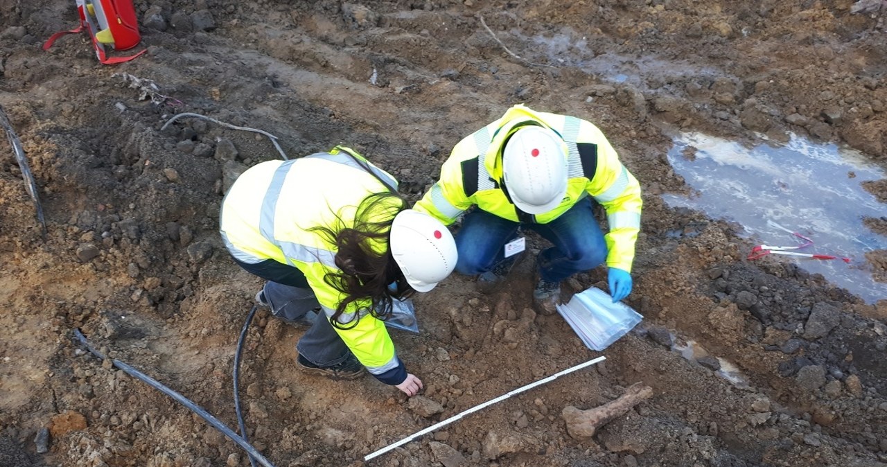 Szczątki zwierząt znalezione na budowie metra. Wezwano archeologów