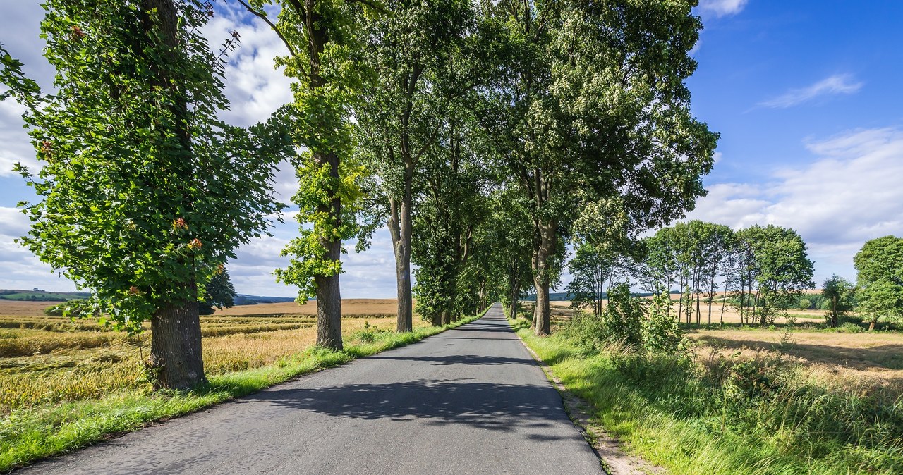 Lokalne Grupy Działania z milionami euro na rozwój wsi