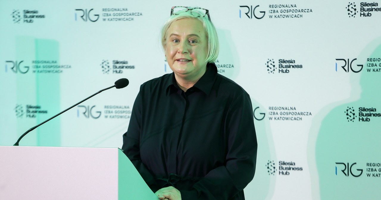 Gaz, ropa, wodór i atom. Minister przemysłu o kompetencjach resortu