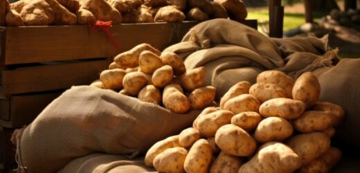 Biją na głowę polskie ziemniaki. Kosztują nawet kilka tysięcy złotych za kilogram