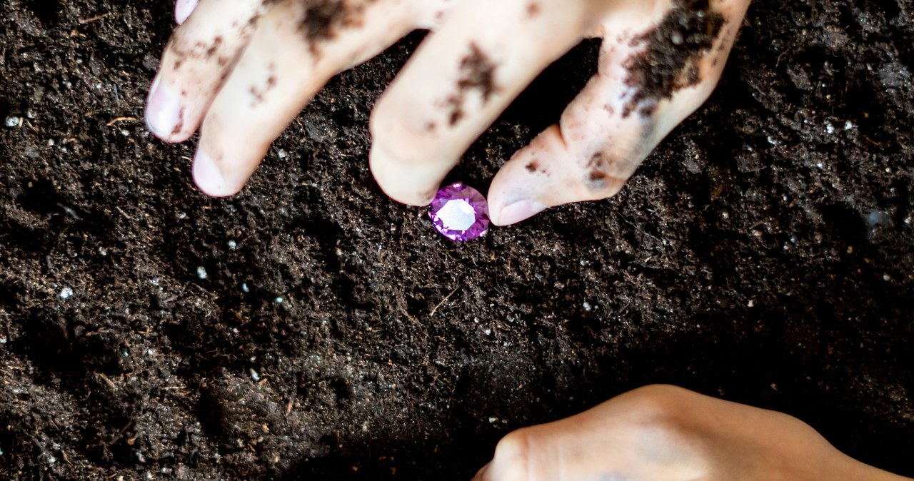USA: Wybrał się do parku i wrócił z diamentem