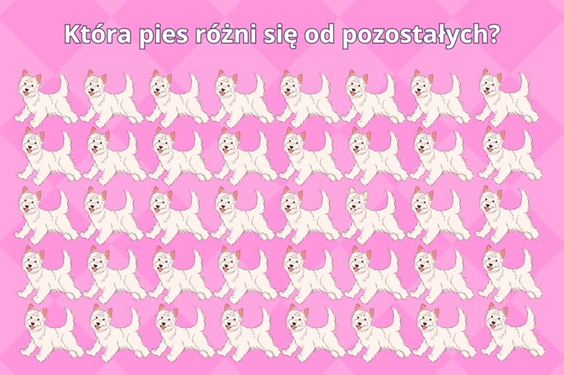 Test na spostrzegawczość: Tylko osoby o błyskotliwym spojrzeniu znają rozwiązanie