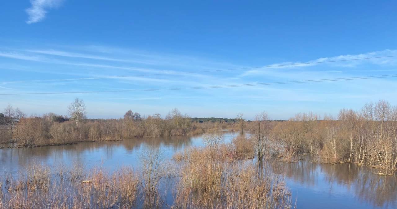 Podtopienia na Mazowszu. Wylewa rzeka Liwiec