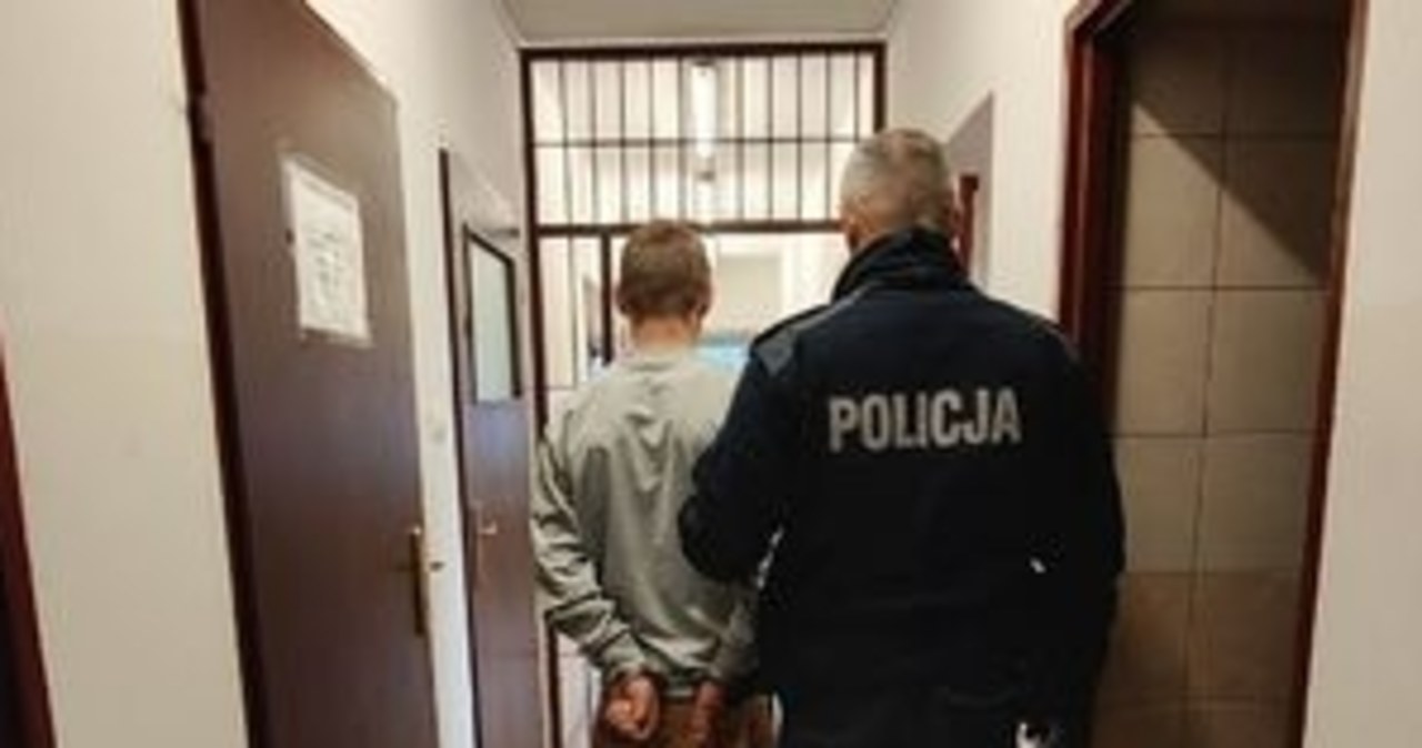 Zlekceważył 8 zakazów. Nie było to jego jedyne przewinienie