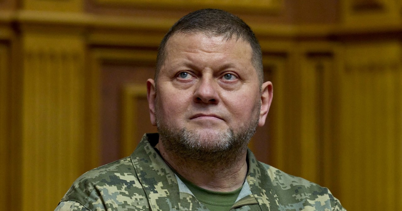 Naczelny dowódca Ukrainy nie zrezygnuje. Szczegóły spotkania z Zełenskim