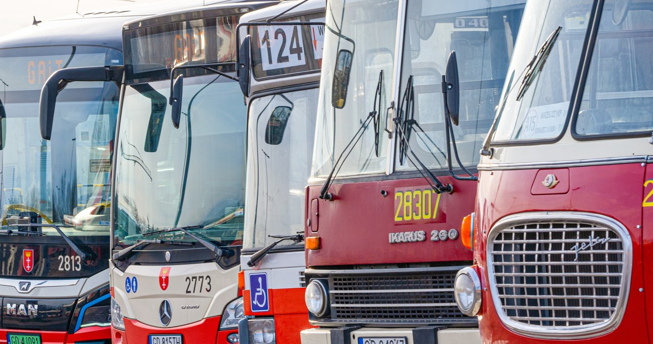 ​Gdańsk świętuje modernizację floty autobusowej