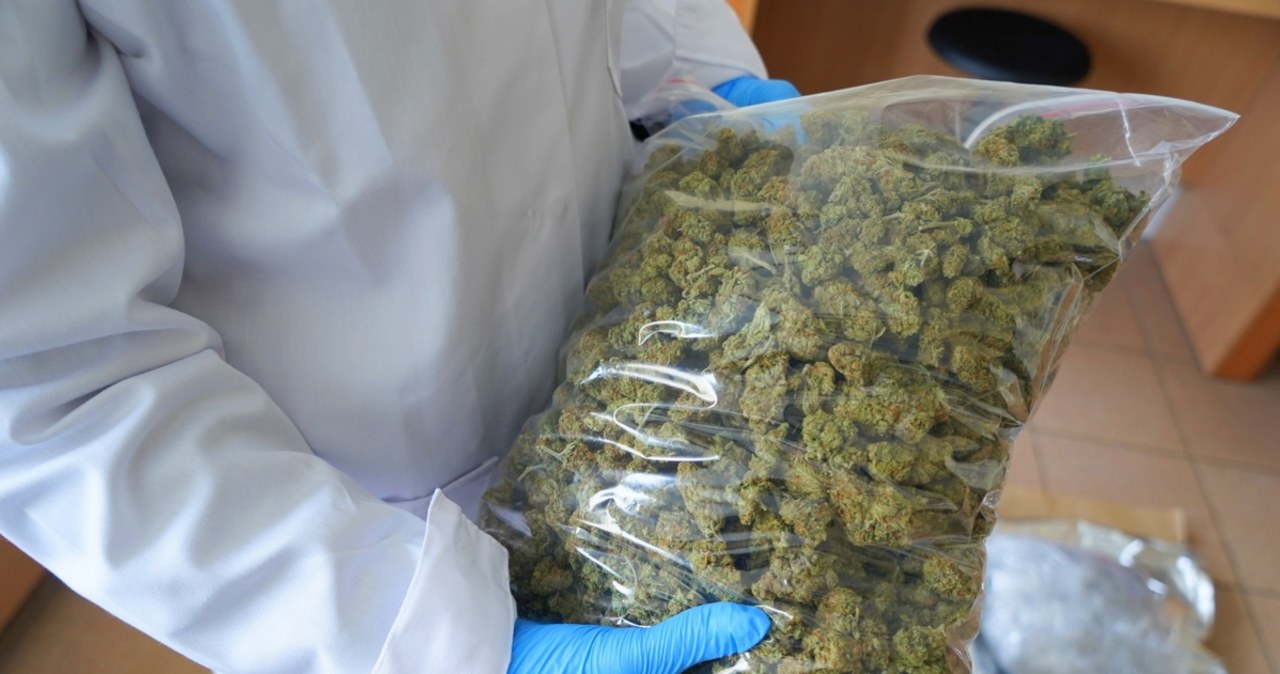 Policjanci znaleźli 6 kg marihuany. To miała być rutynowa kontrola