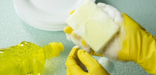 Codziennie trzymasz w ręce siedlisko bakterii. Zamieszkują w popularnym kuchennym produkcie