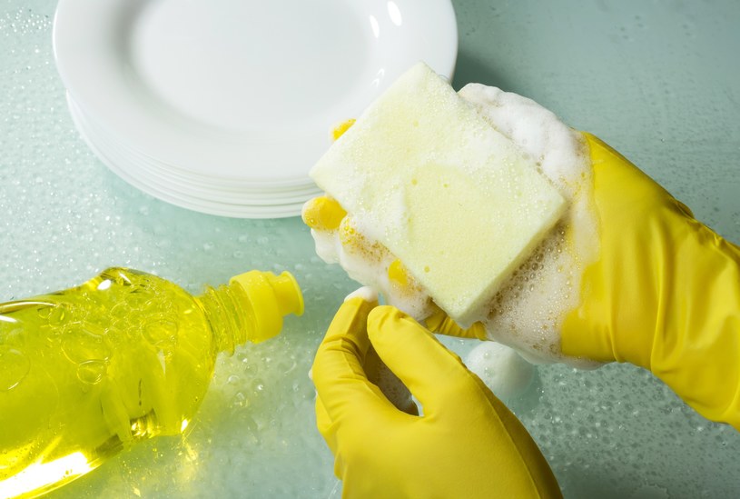 Codziennie trzymasz w ręce siedlisko bakterii. Zamieszkują w popularnym kuchennym produkcie