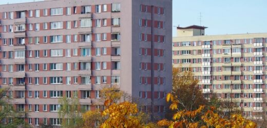 Horrendalne ceny, ogłoszenia widma. Studencki wyścig o wynajem