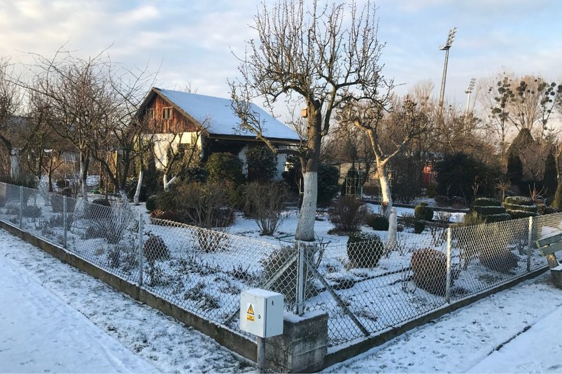 Kalendarz ogrodnika w lutym. O tym nie możesz zapomnieć! Rozsady, ciecia, siew