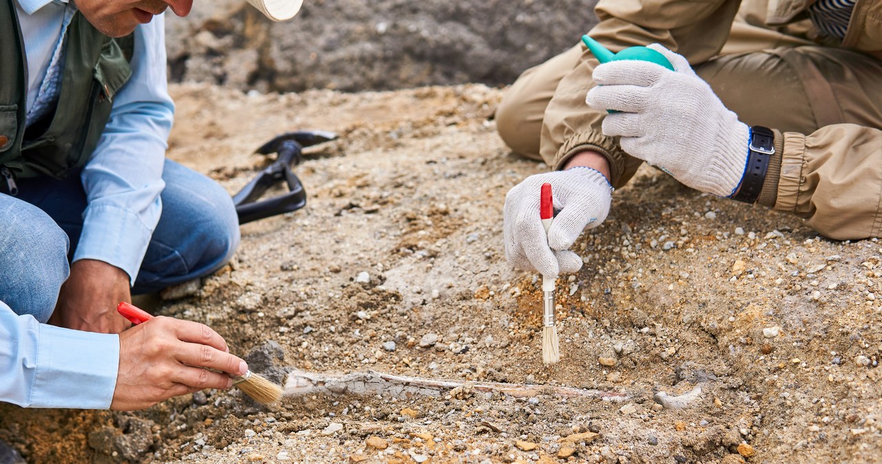 Prehistoryczna ryba sprzed 365 mln lat odkryta na Kielecczyźnie