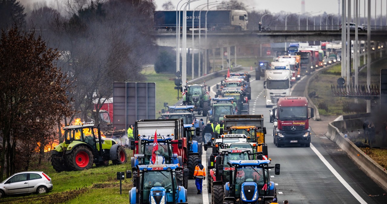 Polscy kierowcy utknęli w Zeebrugge. „Nie przeciśniemy się”