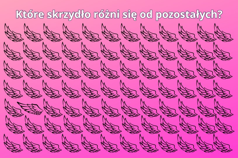 Test na spostrzegawczość: tylko prawdziwy geniusz rozwiąże zagadkę w mniej niż 10 sekund