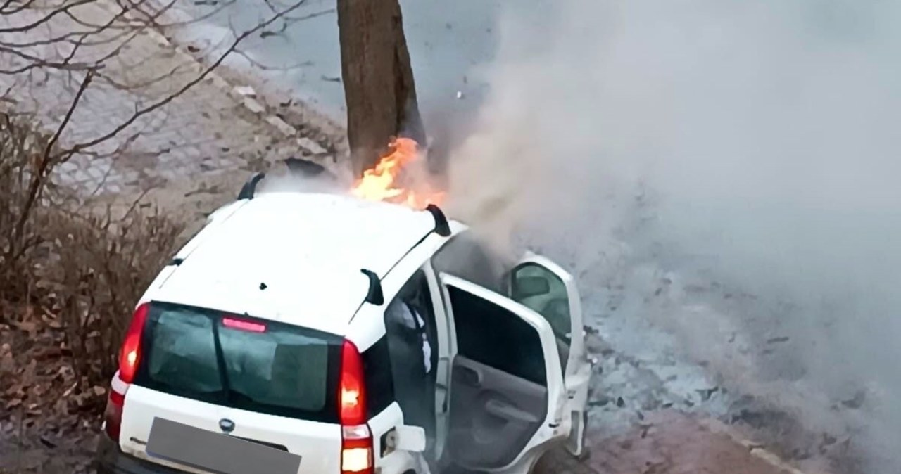 Auto uderzyło w drzewo i spłonęło. Za kierownicą mógł siedzieć 24-latek