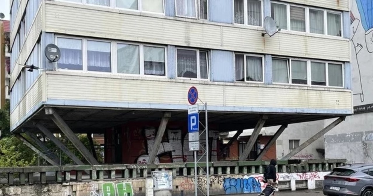 Infolinia dla lokatorów Trzonolinowca