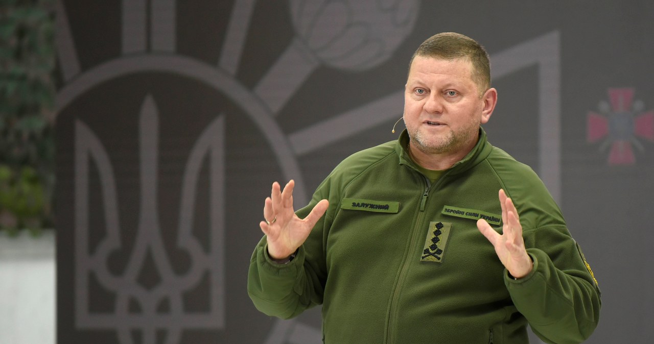 Załużny zdymisjonowany. Jest decyzja Zełenskiego