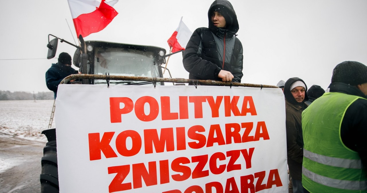 Czym jest Zielony Ład? To m.in. przeciw niemu protestują rolnicy