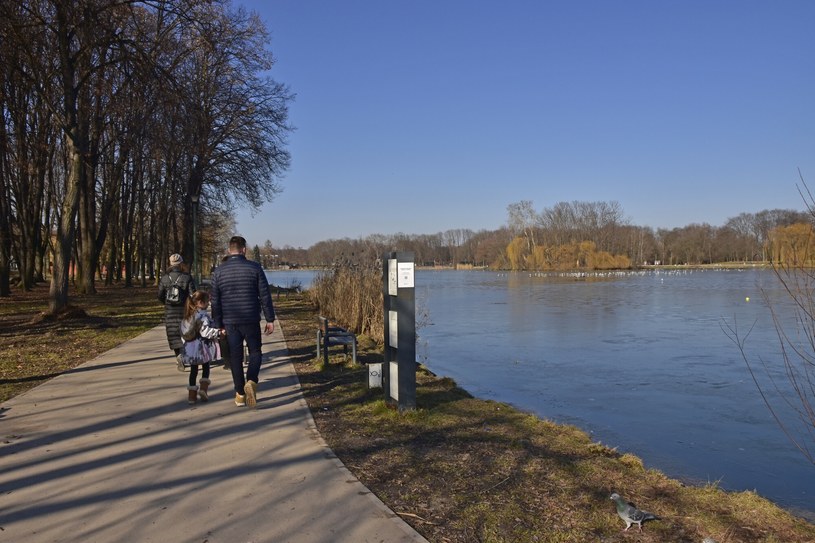 Kiedy będzie wiosna? Oto co mówią najnowsze prognozy
