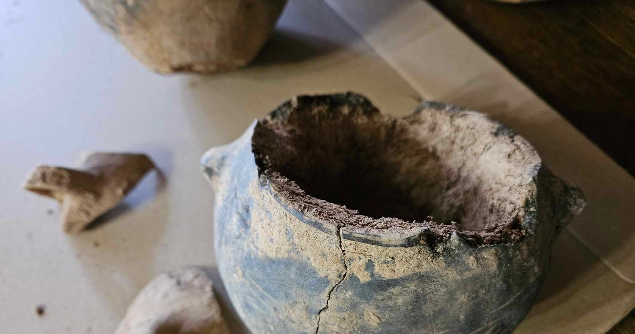 Archeologiczne odkrycie w Świdnicy