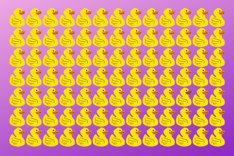 Trudny test na spostrzegawczość. Która kaczka różni się od pozostałych?