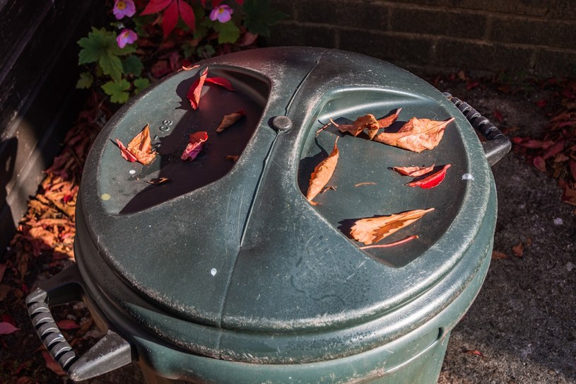 Dorzuć do kompostu. „Czarne złoto” sprawi, że rośliny będą rosły jak szalone