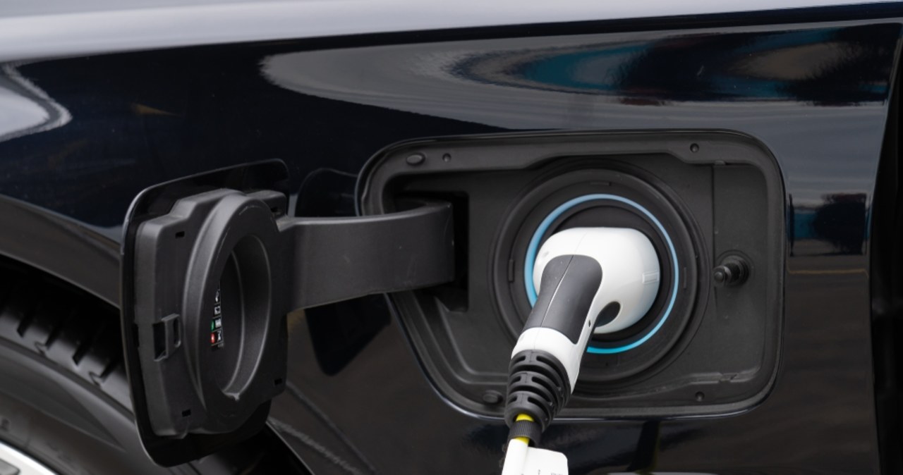 Ekspert o elektrykach w Polsce. „Rynek rozwija się”