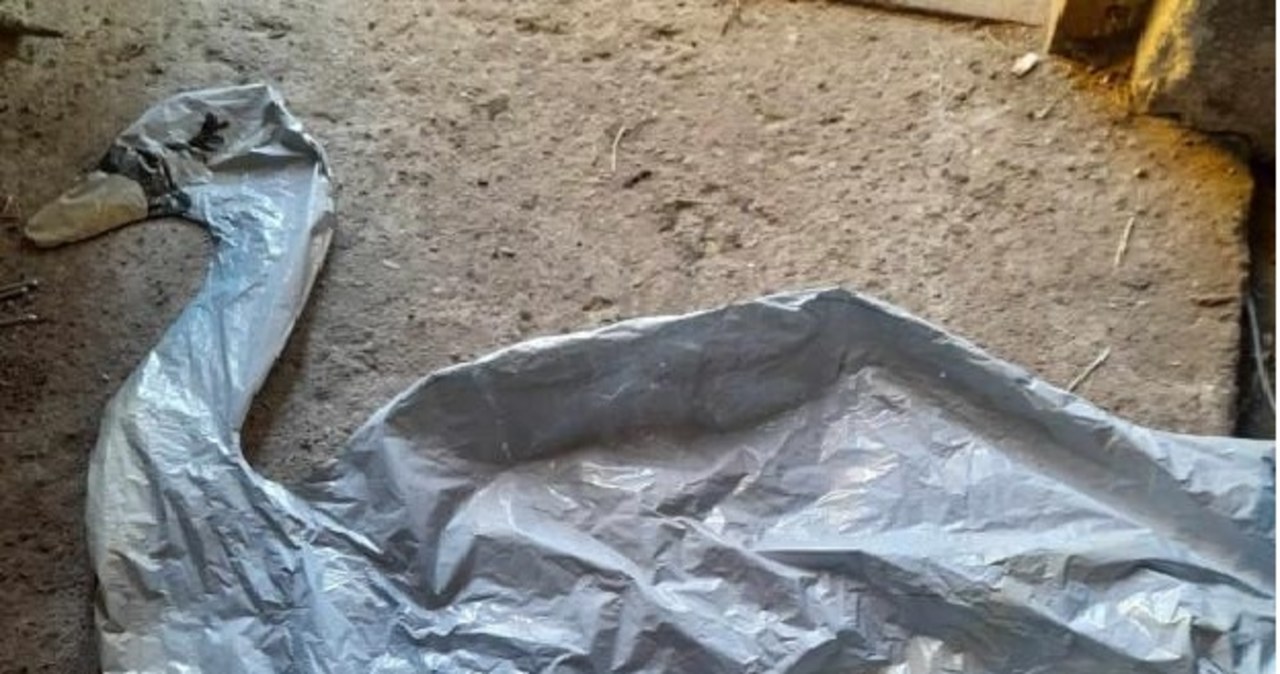 Balon z miłosnym wyznaniem ze Szwecji zakończył lot na Mazowszu