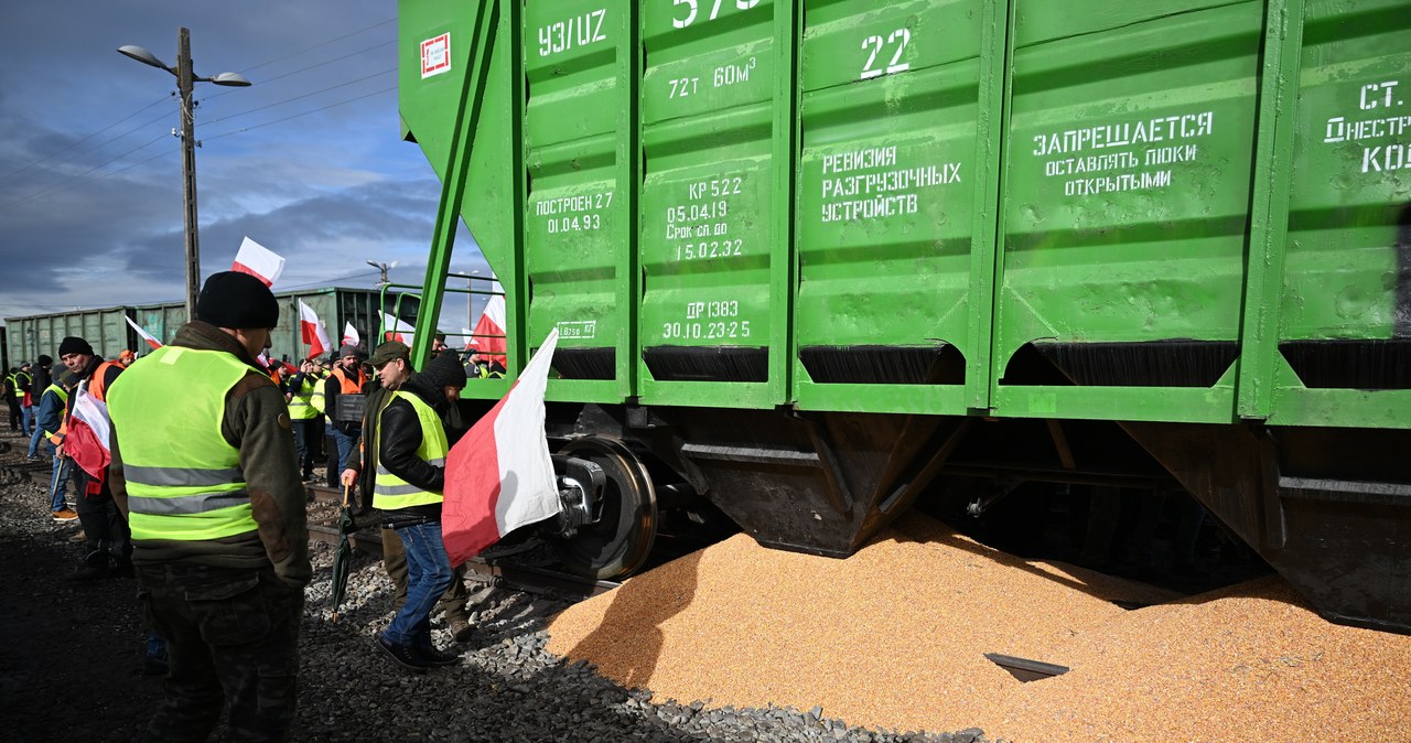 Protestujący rolnicy wysypali ukraińskie zboże z wagonów w Medyce