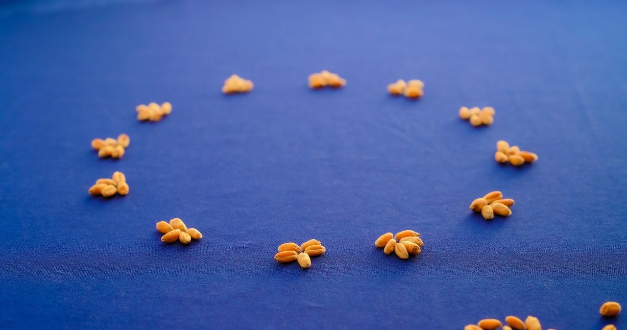 KE obiecuje rolnikom uproszczenie przepisów środowiskowych