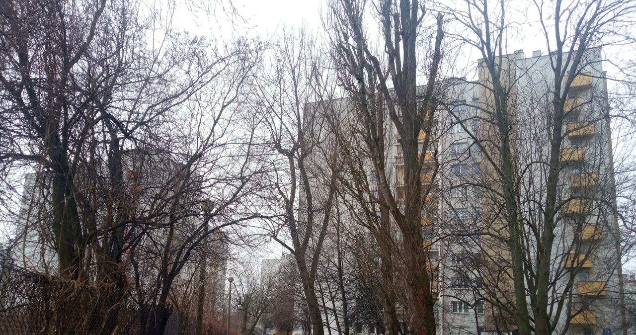 Kraków: Wieżowce bez gazu od dwóch tygodni. „Spali na bombie”