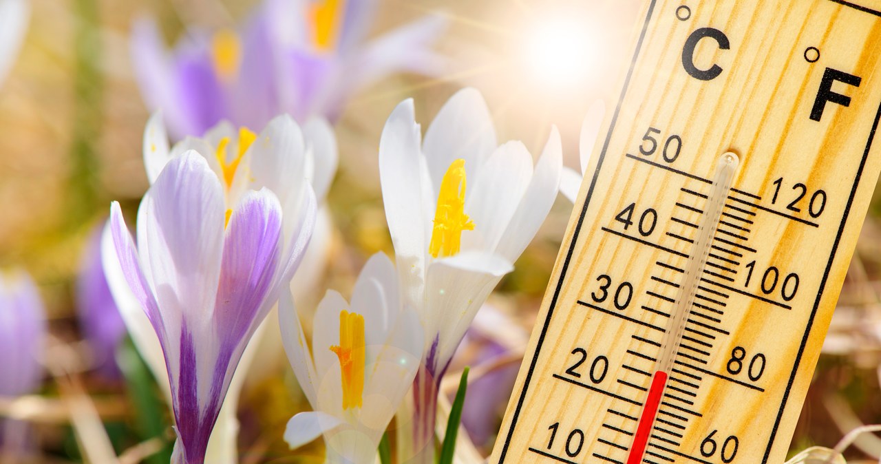 Wiosna nadejdzie wcześniej. Ten tydzień z temperaturą do 17 st. C