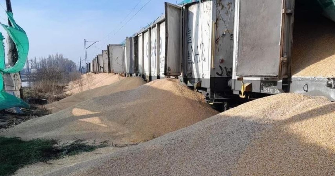 Pociąg odjechał, na skarpie zostało ok. 30 ton ukraińskiej kukurydzy