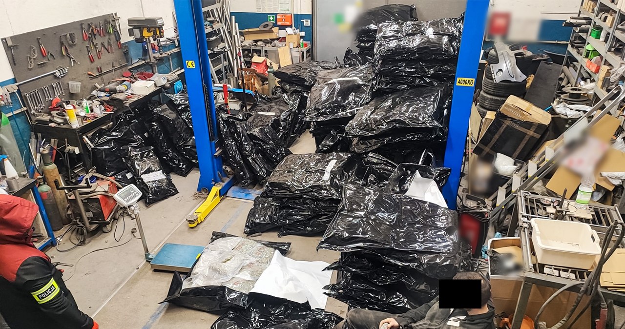 Zarzuty za 2 tony narkotyków ukryte w warsztacie samochodowym
