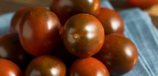 Wyjątkowy smak i aromat. Zimą i wczesną wiosną stawiaj na czekoladową odmianę