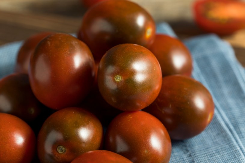 Wyjątkowy smak i aromat. Zimą i wczesną wiosną stawiaj na czekoladową odmianę