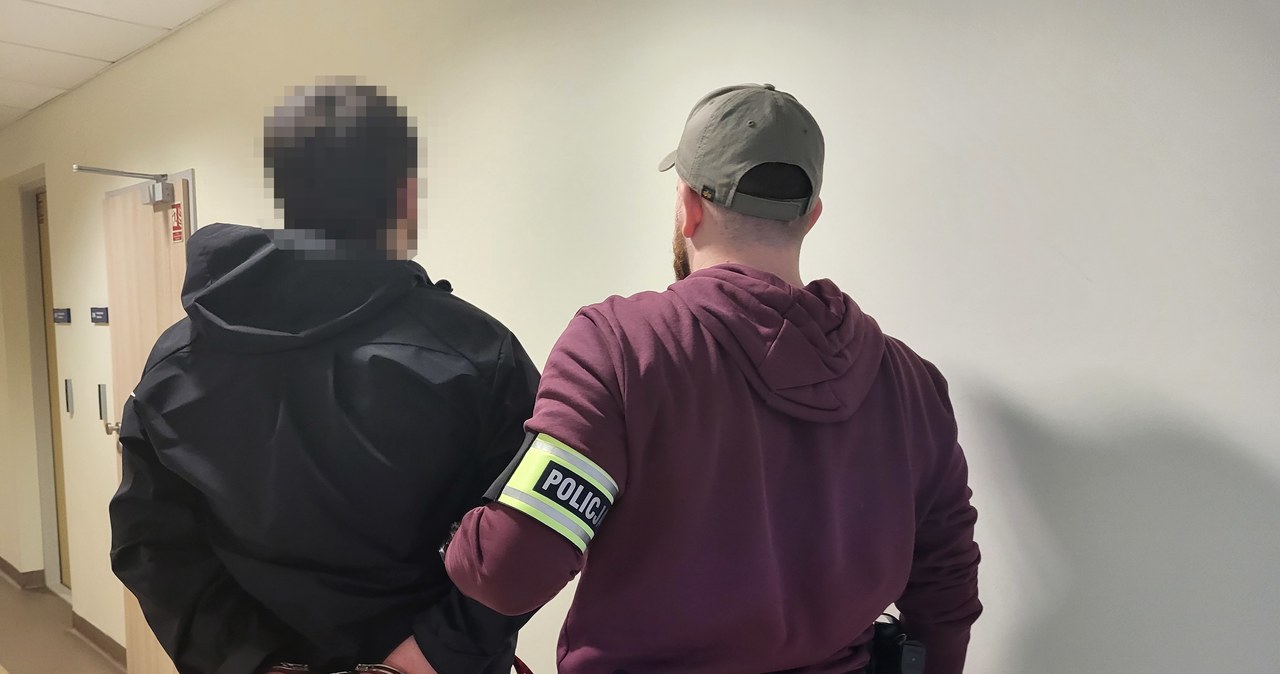 Policjanci zatrzymali pedofilia. Najpierw zaprzyjaźniał się z ofiarami