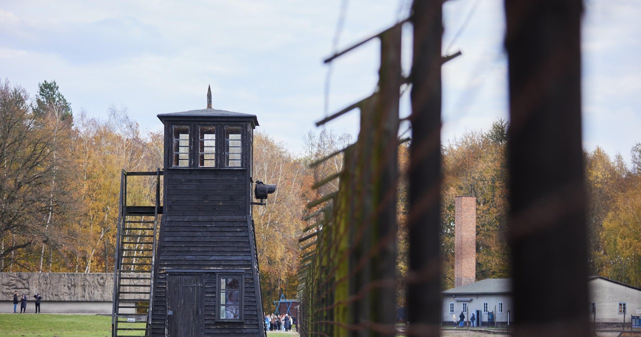 Nowe eksponaty w Muzeum Stutthof w Sztutowie. Wykopali je miłośnicy historii