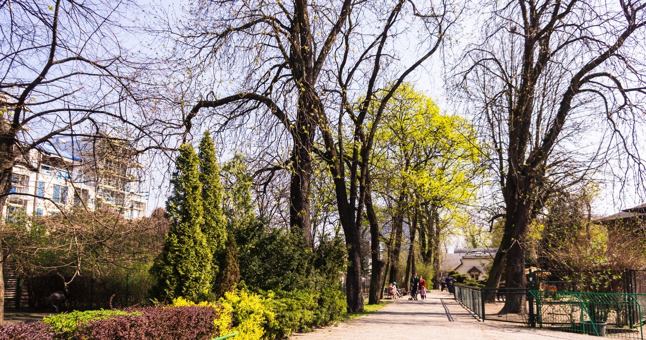 Prezydent wszczął procedurę zwolnienia dyrektorki zoo